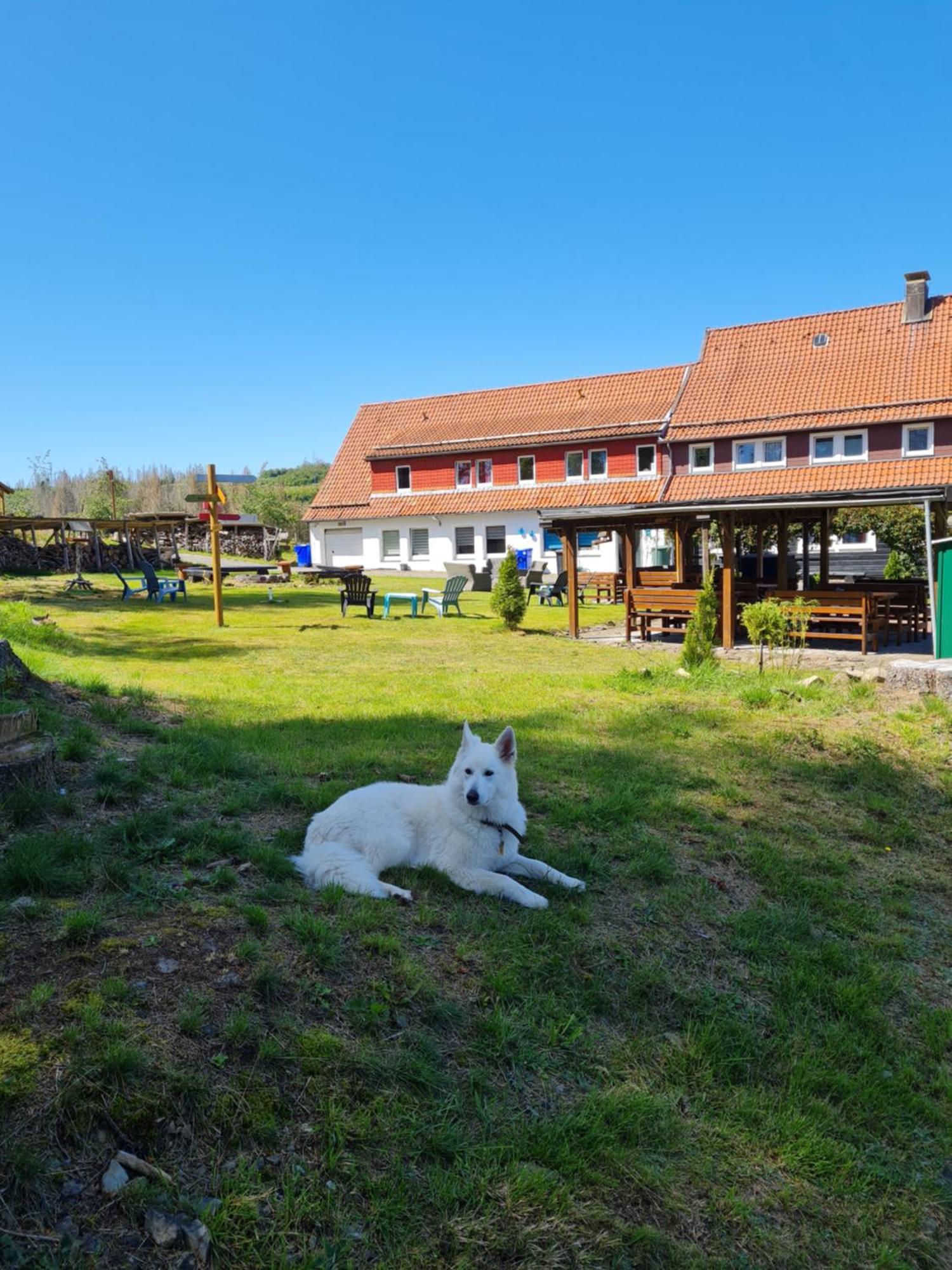 Welt Lodge Altenau  Exteriér fotografie