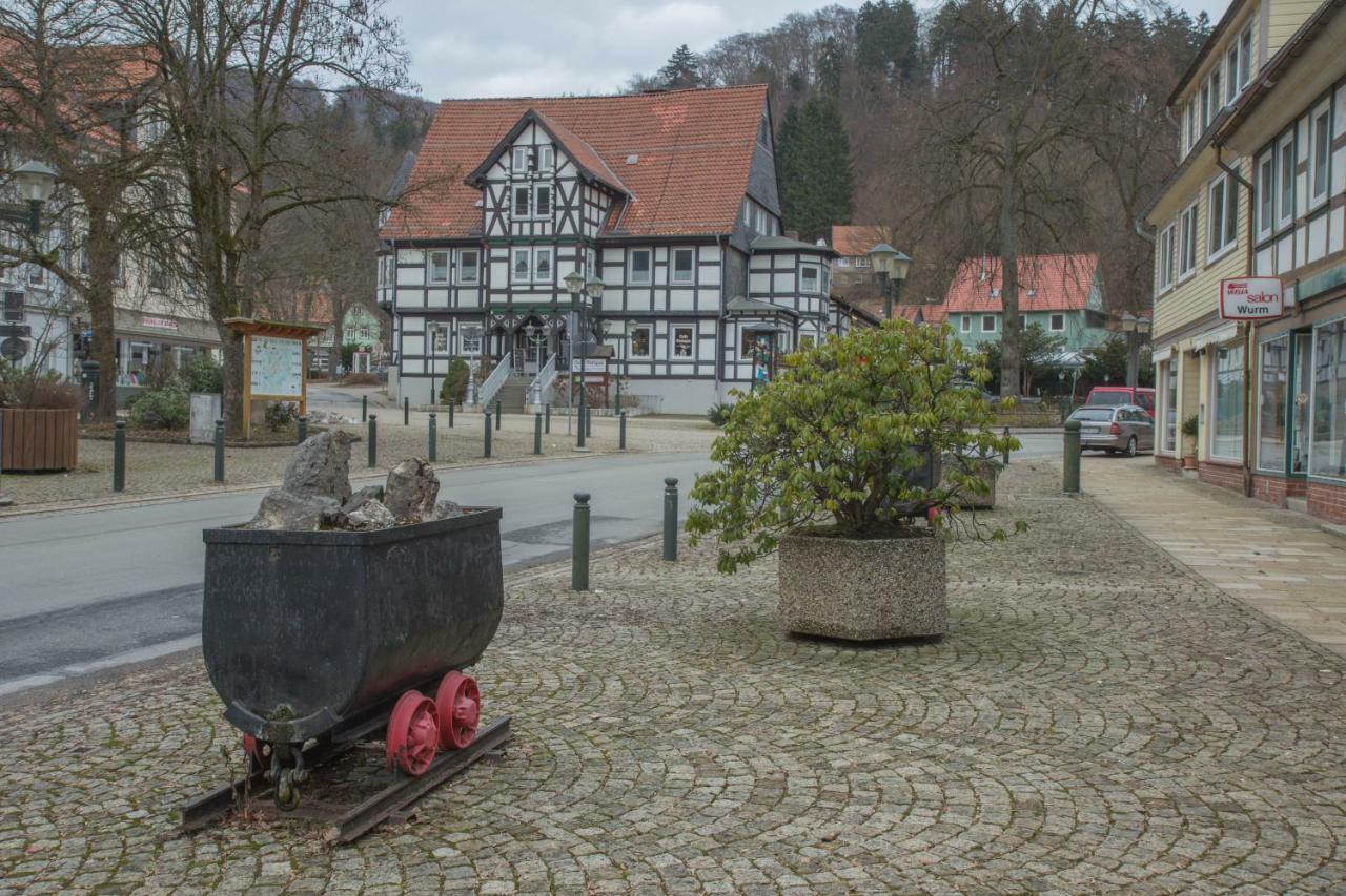 Welt Lodge Altenau  Exteriér fotografie