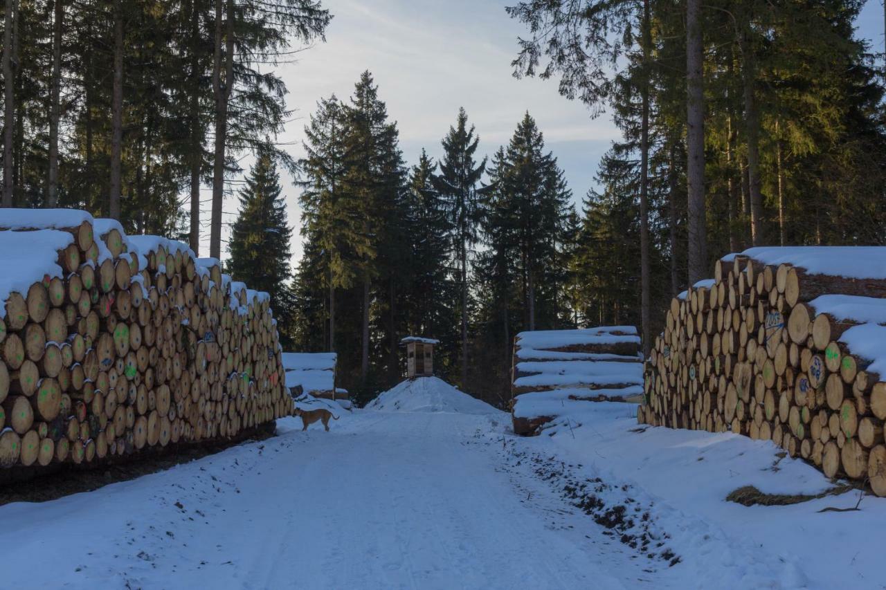 Welt Lodge Altenau  Exteriér fotografie